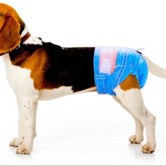 ๐๐ฉฒ๐ถ๐พ โข๐Pet-Soft๐โข ๐พ๐ถ Jean Pattern๐พ๐ฉฒ๐ถ - Picture 1 of 7